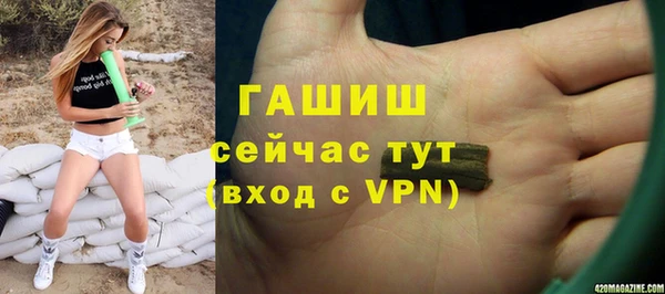 шишки Медногорск