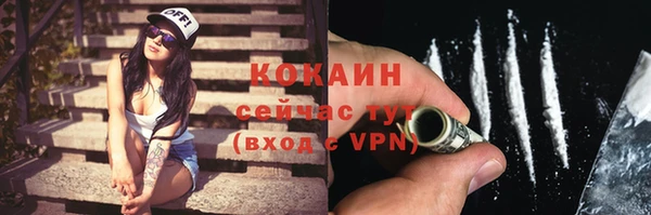 молекула духа Мегион