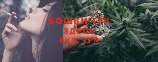 шишки Медногорск