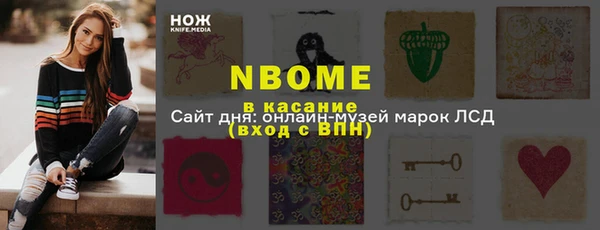 шишки Медногорск