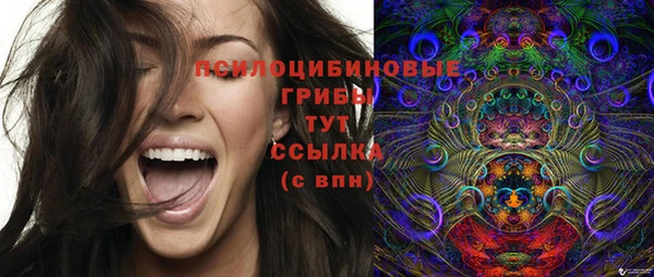 молекула духа Мегион