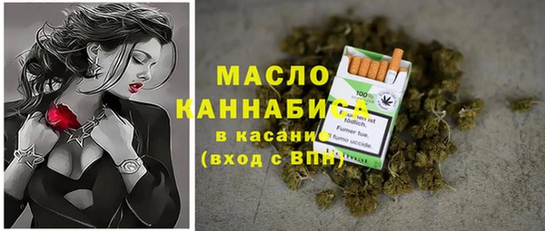 шишки Медногорск