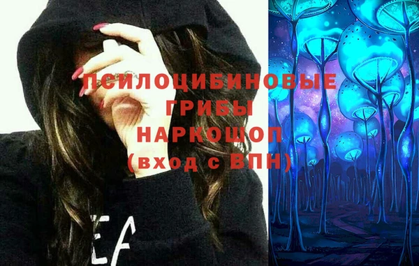 шишки Медногорск